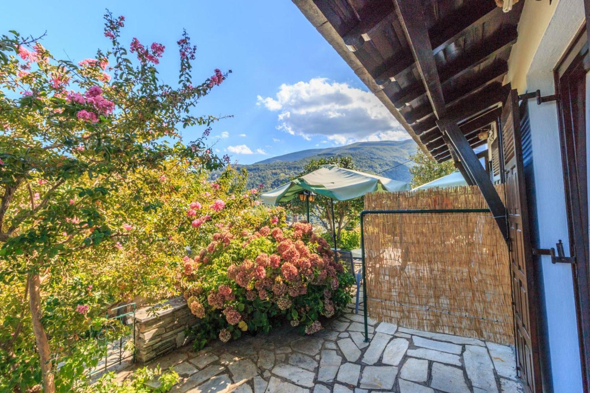 Villa Zina Agios Dimitrios Áyios Dhimítrios 外观 照片